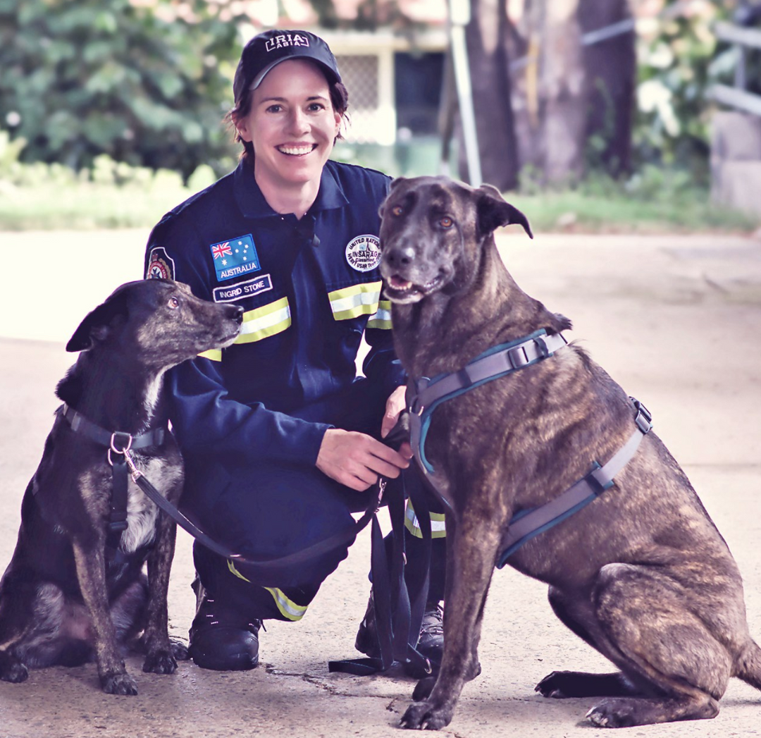 In Home Dog Euthanasia Near You in Australia Goodbye Good Boy